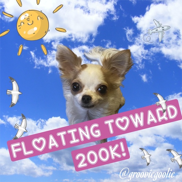 💜 Follow me to 250K! 💗 - Picture 2 of 12